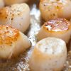 Sea Scallops