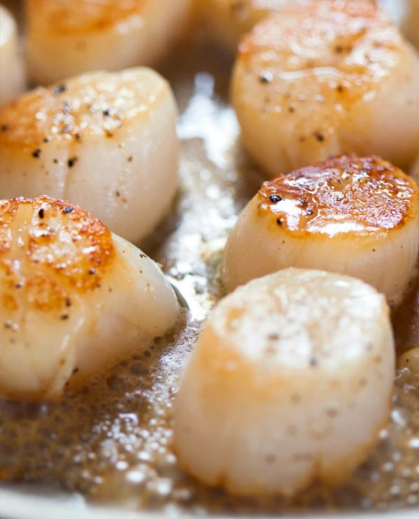 Sea Scallops