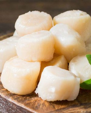 Sea Scallops