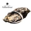 Gillardeau oysters