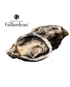 Gillardeau oysters