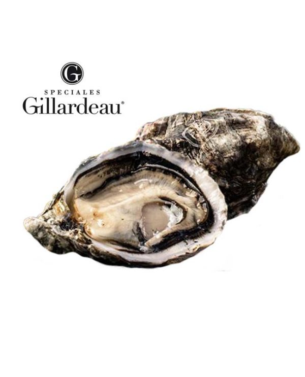 Gillardeau oysters