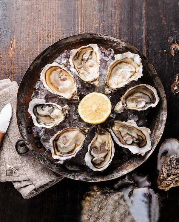 Oysters