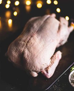 christmas duck