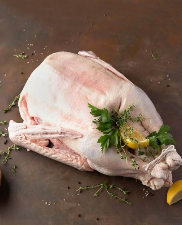christmas goose
