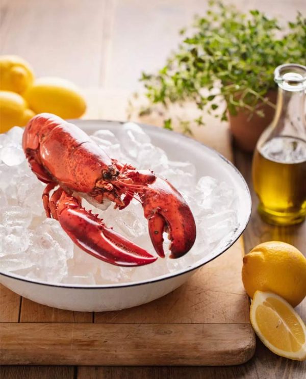 lobster lollypop