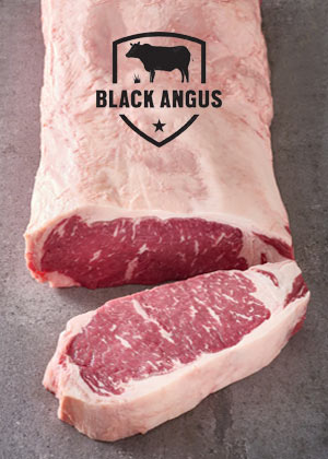 Australian Black Angus